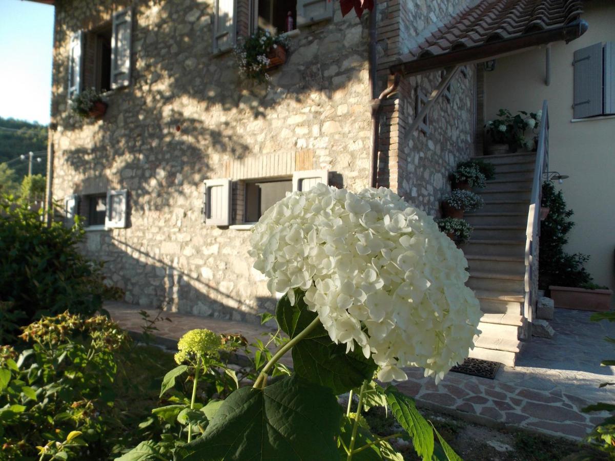 B&B Nonna Rosa Норча Екстериор снимка